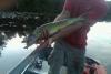 imagejpeg_2_3_t1.jpg